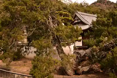 光明坊(広島県)