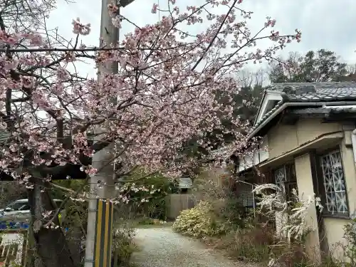 神咒寺の{uncategorized: "未分類", other: "その他", undefined: "問題あり", building: "その他建物", grave: "お墓", sacred_gate: "鳥居", guardian: "狛犬", statue: "像", buddha: "仏像", history: "歴史", nature: "自然", garden: "庭園", animal: "動物", pagoda: "塔", temizu: "手水舎", mountain_gate: "山門・神門", sanctuary: "本殿・本堂", subordinate: "末社・摂社", art: "芸術", scenery: "景色", jizo: "地蔵", ema: "絵馬", goshuin: "御朱印", omikuji: "おみくじ", items: "授与品その他", amulet: "お守り", goshuincho: "御朱印帳", eats: "食事", festival: "お祭り", votive_dance: "神楽", shichigosan: "七五三参", wedding: "結婚式", experience: "体験その他", initially: "初詣", around: "周辺", anti_infection: "感染症対策"}