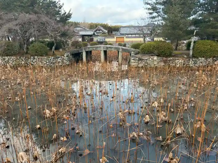 天龍寺の{uncategorized: "未分類", other: "その他", undefined: "問題あり", building: "その他建物", grave: "お墓", sacred_gate: "鳥居", guardian: "狛犬", statue: "像", buddha: "仏像", history: "歴史", nature: "自然", garden: "庭園", animal: "動物", pagoda: "塔", temizu: "手水舎", mountain_gate: "山門・神門", sanctuary: "本殿・本堂", subordinate: "末社・摂社", art: "芸術", scenery: "景色", jizo: "地蔵", ema: "絵馬", goshuin: "御朱印", omikuji: "おみくじ", items: "授与品その他", amulet: "お守り", goshuincho: "御朱印帳", eats: "食事", festival: "お祭り", votive_dance: "神楽", shichigosan: "七五三参", wedding: "結婚式", experience: "体験その他", initially: "初詣", around: "周辺", anti_infection: "感染症対策"}
