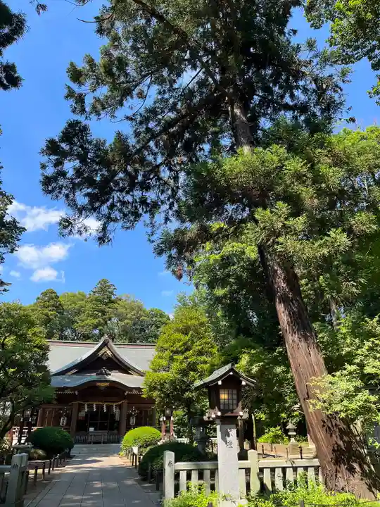 廣幡八幡宮(千葉県)