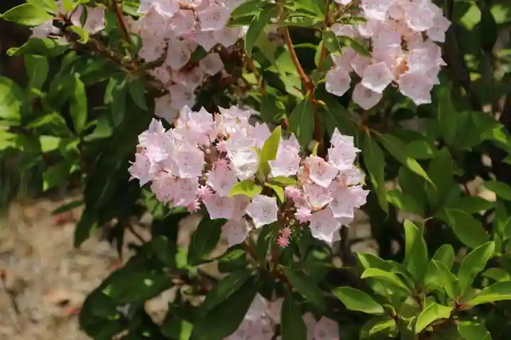 大鏑神社の庭園