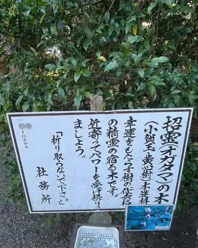 息栖神社の歴史