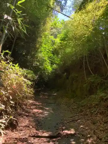 熊野神社(千葉県)