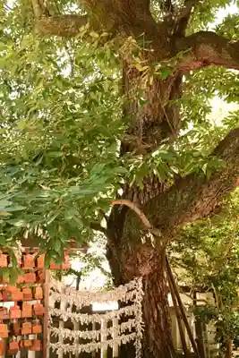 浪打八幡宮(香川県)