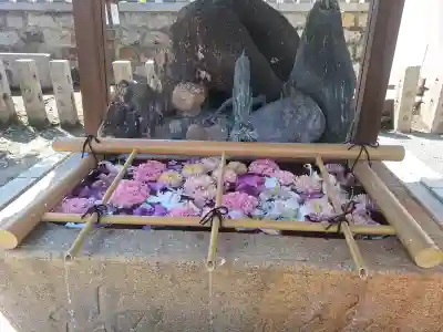 櫻宮の{uncategorized: "未分類", other: "その他", undefined: "問題あり", building: "その他建物", grave: "お墓", sacred_gate: "鳥居", guardian: "狛犬", statue: "像", buddha: "仏像", history: "歴史", nature: "自然", garden: "庭園", animal: "動物", pagoda: "塔", temizu: "手水舎", mountain_gate: "山門・神門", sanctuary: "本殿・本堂", subordinate: "末社・摂社", art: "芸術", scenery: "景色", jizo: "地蔵", ema: "絵馬", goshuin: "御朱印", omikuji: "おみくじ", items: "授与品その他", amulet: "お守り", goshuincho: "御朱印帳", eats: "食事", festival: "お祭り", votive_dance: "神楽", shichigosan: "七五三参", wedding: "結婚式", experience: "体験その他", initially: "初詣", around: "周辺", anti_infection: "感染症対策"}