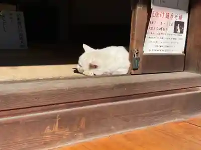 宝寿院(愛知県)