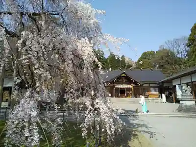 足羽神社のその他建物