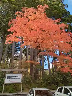 高野山金剛峯寺奥の院(和歌山県)
