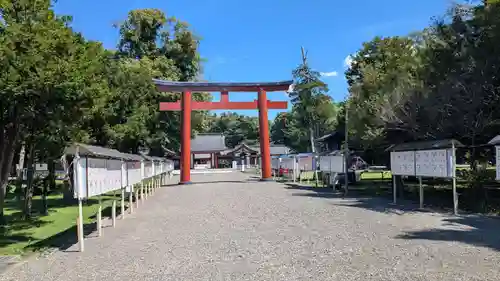 北海道護國神社のお祭り