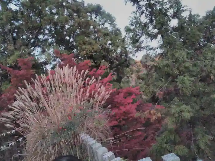 松尾山神社(奈良県)