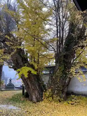 信正寺(秋田県)