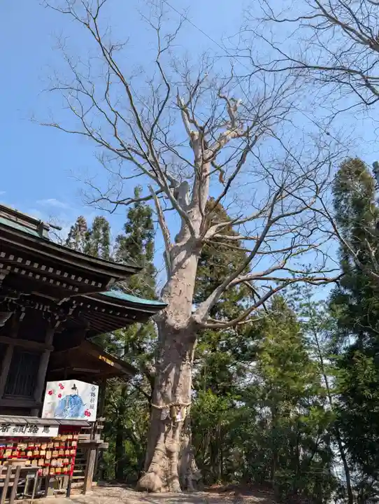 横山八幡宮(岩手県)