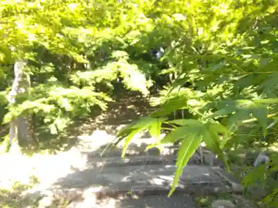 安国寺(京都府)