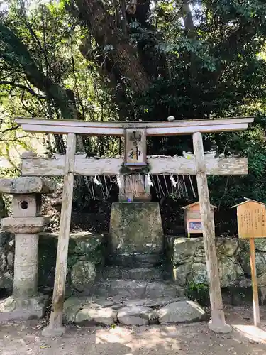 志賀海神社の鳥居