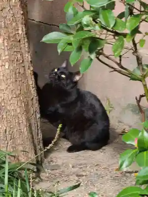 綱敷天満宮(福岡県)