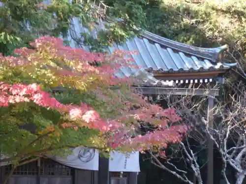 安國論寺（安国論寺）(神奈川県)
