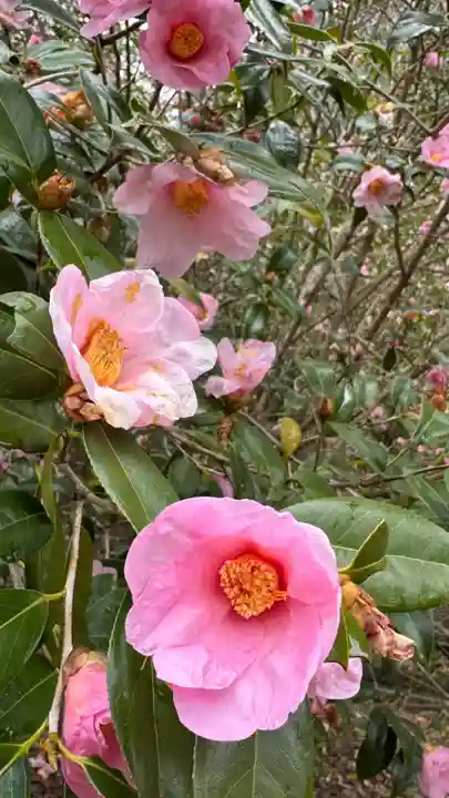 和氣神社(和気神社)(岡山県)