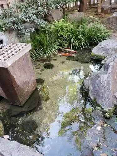 厳嶋神社の庭園