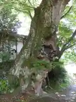小夫天神社(奈良県)