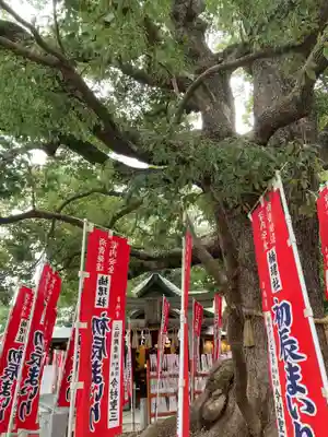 住吉大社(大阪府)