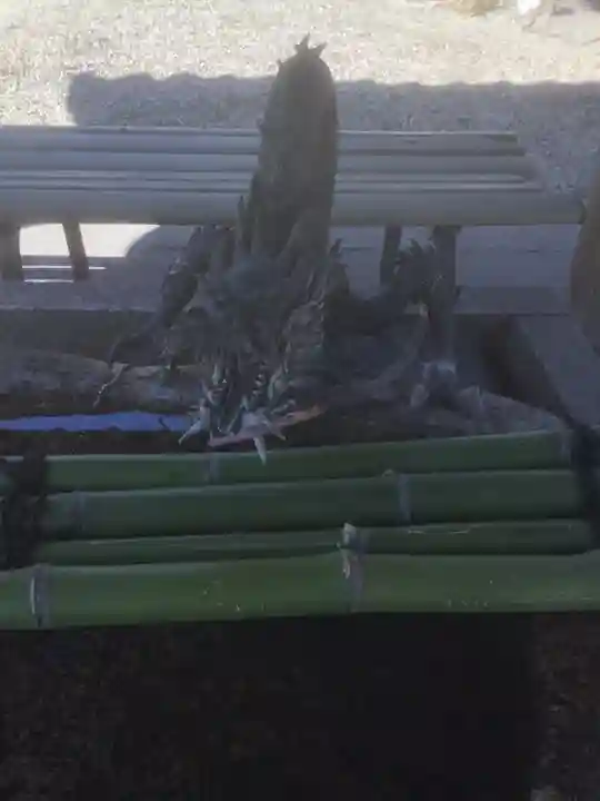 熱田神社(養父熱田神社)の手水舎