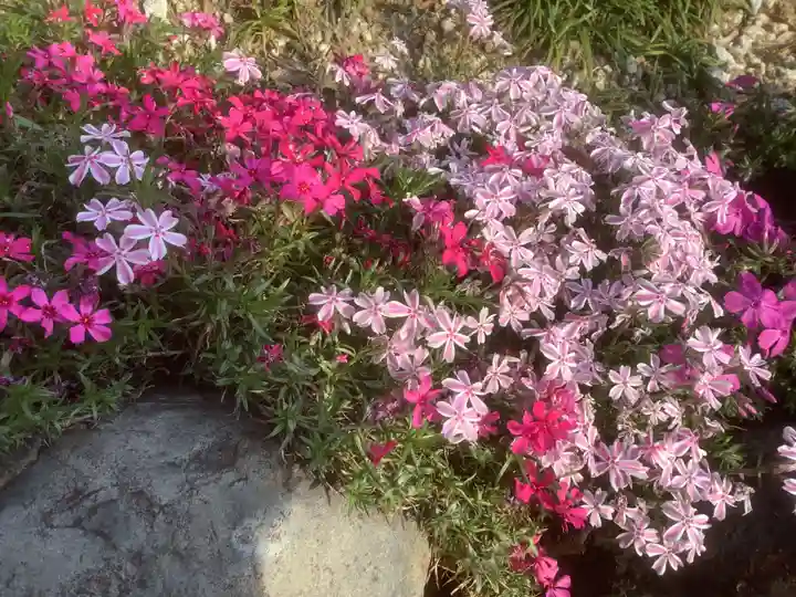 味鏡山 護國院の自然