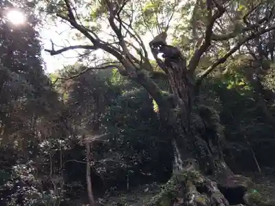 武雄神社(佐賀県)
