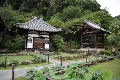 三室戸寺(京都府)