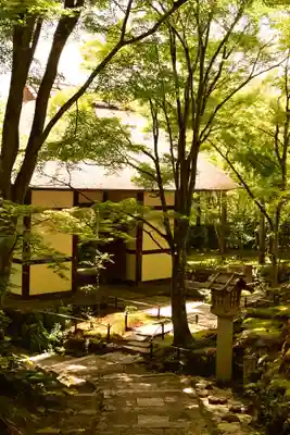 常寂光寺(京都府)