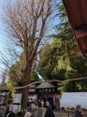 幡ケ谷氷川神社(東京都)