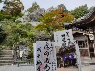 金生山 明星輪寺の御朱印