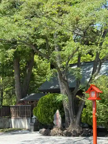 玉村八幡宮(群馬県)