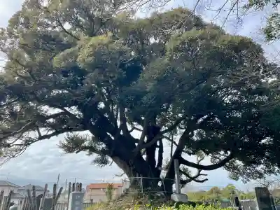 最勝院の{uncategorized: "未分類", other: "その他", undefined: "問題あり", building: "その他建物", grave: "お墓", sacred_gate: "鳥居", guardian: "狛犬", statue: "像", buddha: "仏像", history: "歴史", nature: "自然", garden: "庭園", animal: "動物", pagoda: "塔", temizu: "手水舎", mountain_gate: "山門・神門", sanctuary: "本殿・本堂", subordinate: "末社・摂社", art: "芸術", scenery: "景色", jizo: "地蔵", ema: "絵馬", goshuin: "御朱印", omikuji: "おみくじ", items: "授与品その他", amulet: "お守り", goshuincho: "御朱印帳", eats: "食事", festival: "お祭り", votive_dance: "神楽", shichigosan: "七五三参", wedding: "結婚式", experience: "体験その他", initially: "初詣", around: "周辺", anti_infection: "感染症対策"}