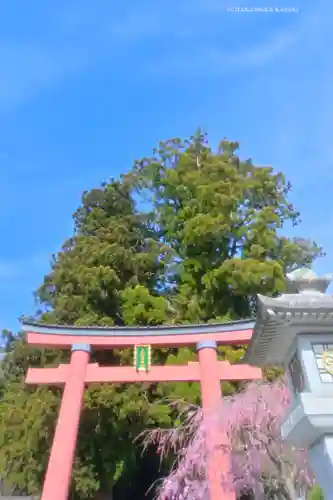 河口浅間神社(山梨県)