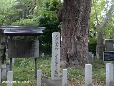 芝東照宮の{uncategorized: "未分類", other: "その他", undefined: "問題あり", building: "その他建物", grave: "お墓", sacred_gate: "鳥居", guardian: "狛犬", statue: "像", buddha: "仏像", history: "歴史", nature: "自然", garden: "庭園", animal: "動物", pagoda: "塔", temizu: "手水舎", mountain_gate: "山門・神門", sanctuary: "本殿・本堂", subordinate: "末社・摂社", art: "芸術", scenery: "景色", jizo: "地蔵", ema: "絵馬", goshuin: "御朱印", omikuji: "おみくじ", items: "授与品その他", amulet: "お守り", goshuincho: "御朱印帳", eats: "食事", festival: "お祭り", votive_dance: "神楽", shichigosan: "七五三参", wedding: "結婚式", experience: "体験その他", initially: "初詣", around: "周辺", anti_infection: "感染症対策"}