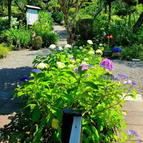 極楽寺(静岡県)