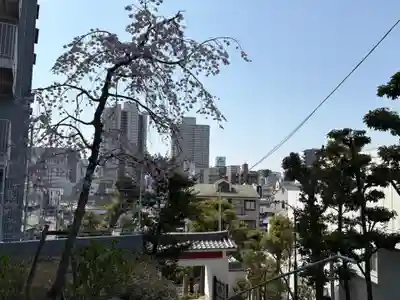 廣智寺(観音廣智勝幢禅寺)(大阪府)