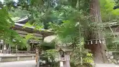 丹生川上神社（中社）(奈良県)