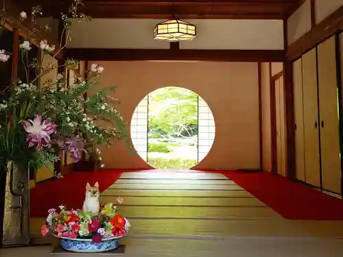 明月院(神奈川県)