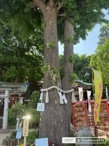 川越八幡宮(埼玉県)
