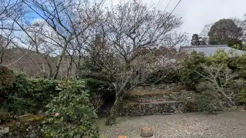 徳乗坊(滋賀県)