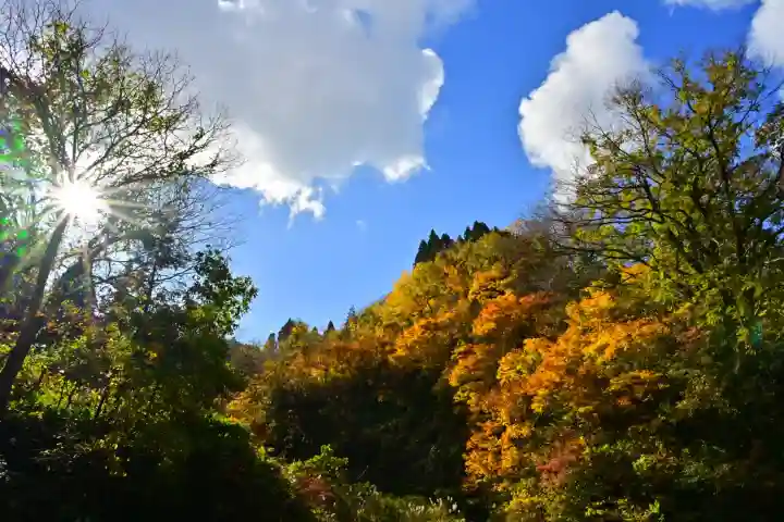 高龍神社 奥之院(新潟県)