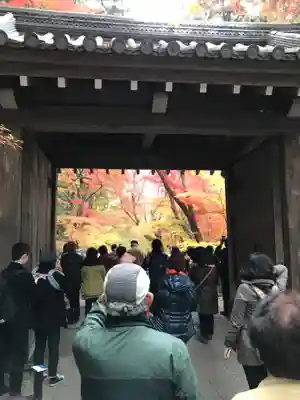 光明寺（粟生光明寺）の山門・神門