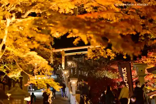 大山阿夫利神社の景色