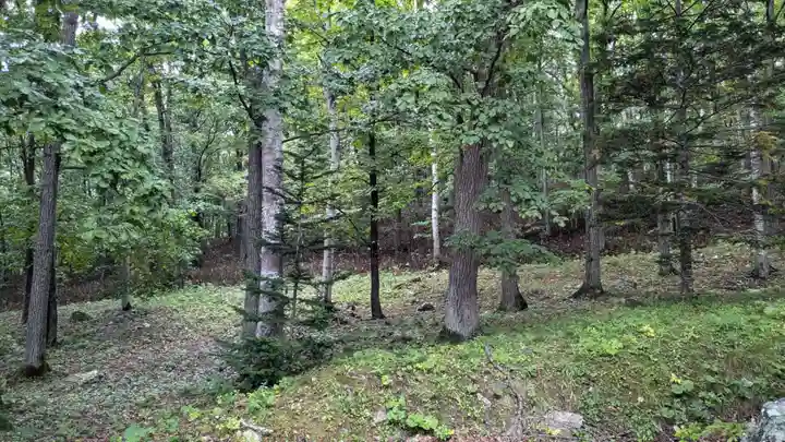 生田原神社の自然