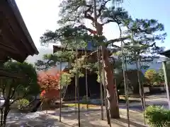 禅昌寺の庭園