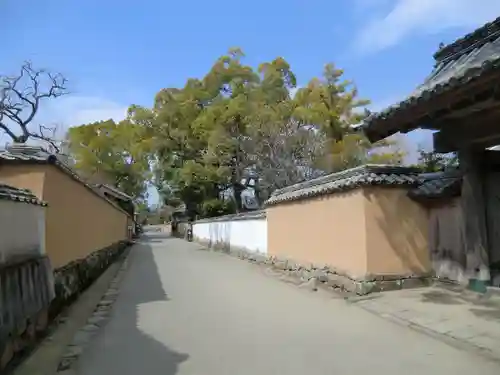 青莚神社(大分県)