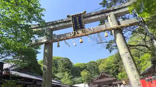 出雲大神宮(京都府)