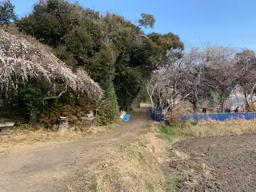 熊野神社(千葉県)