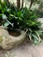 笠戸神社の手水舎